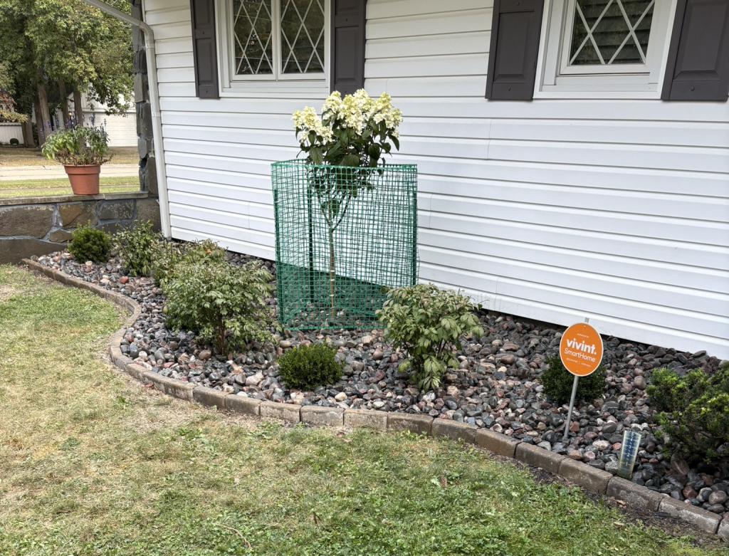 Rock installation in medina ohio by ezgreen lawn care