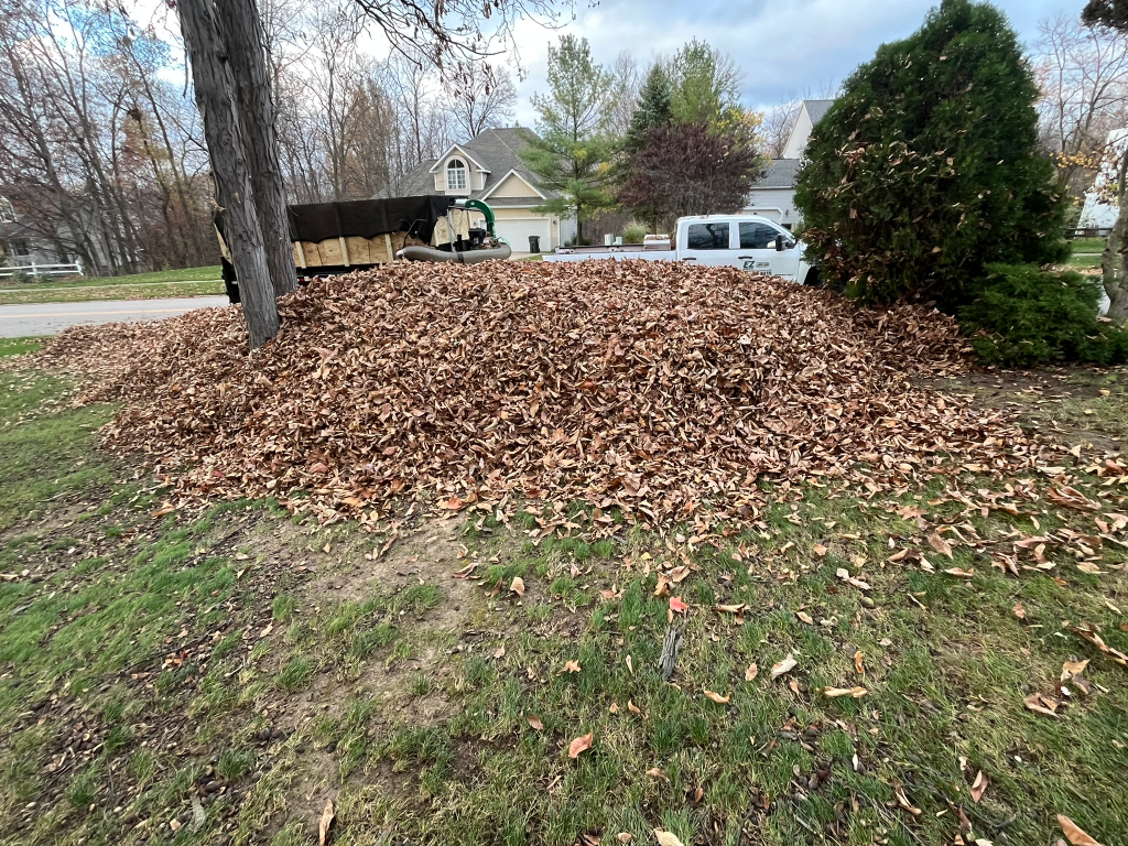 leaf cleanup service medina ohio by ezgreen lawn care