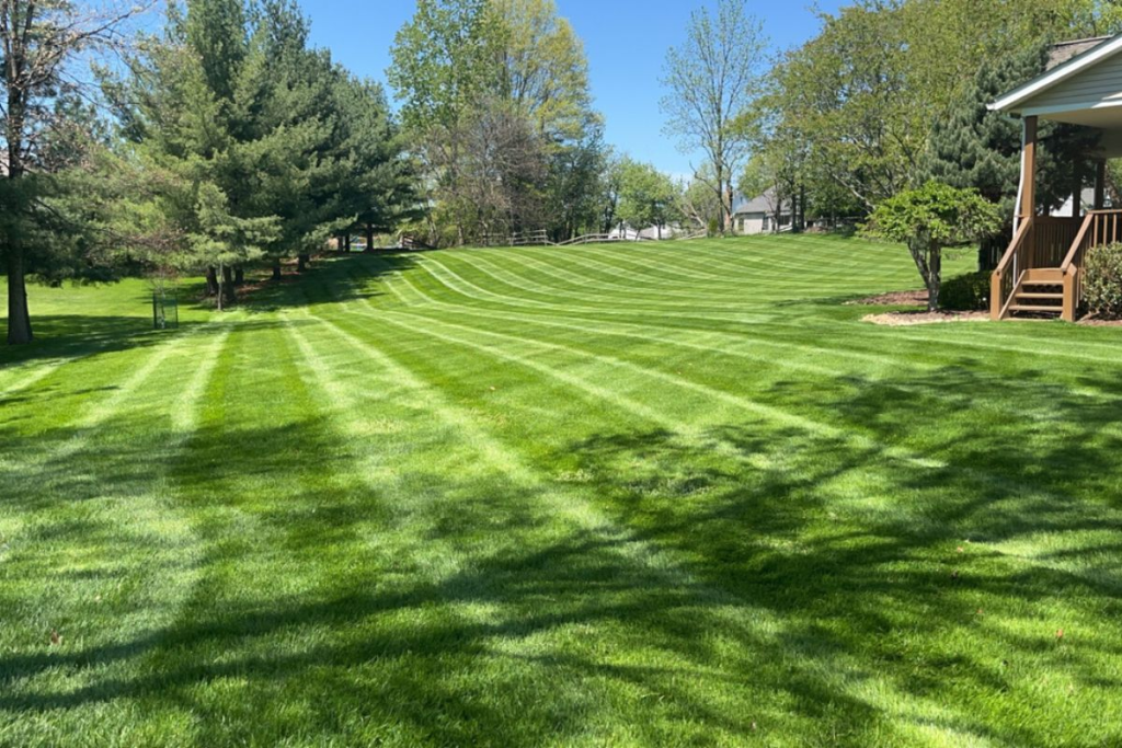 Striped lawn maintained by EZGreen Lawn Care in Medina, Ohio