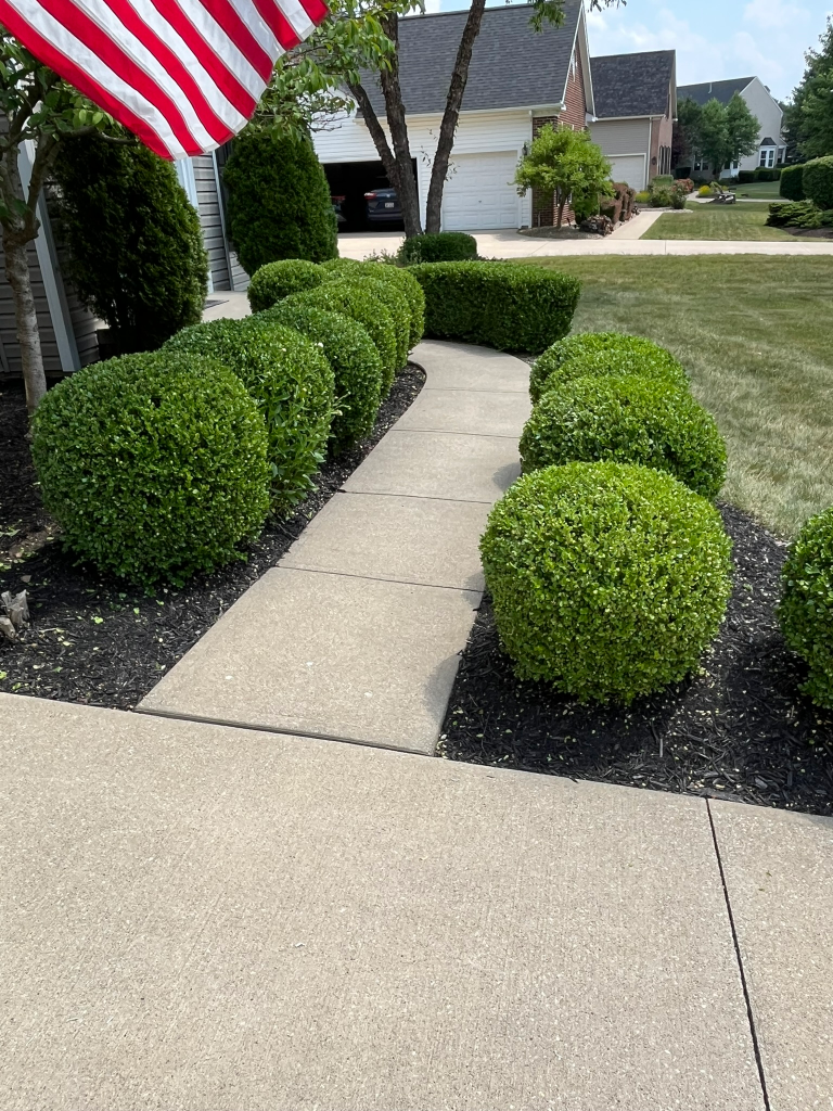 shrub trimming landscaping medina ohio