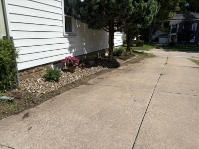 Landscape Transformation After