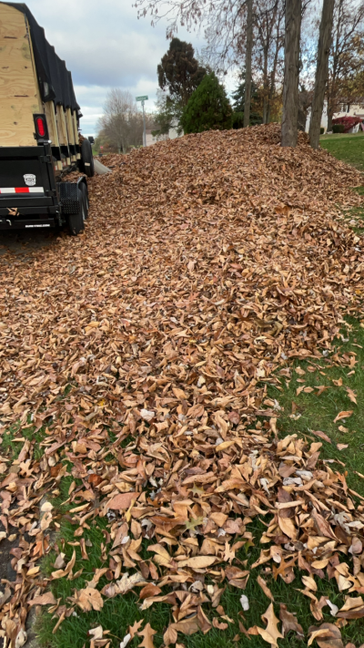 leaf cleanup service medina ohio by ezgreen lawn care