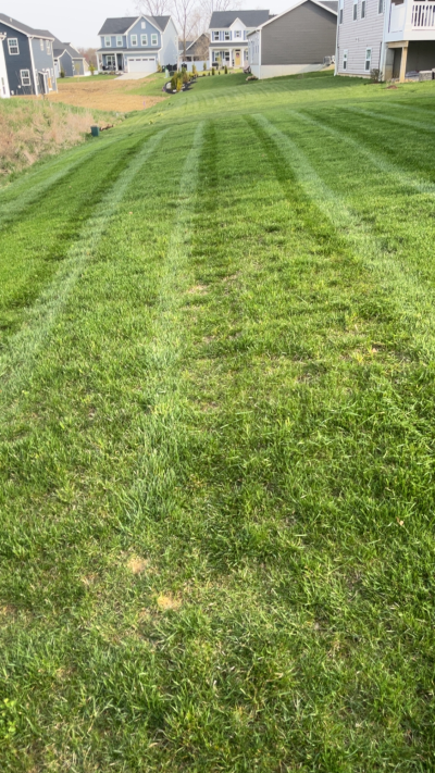 professional lawn mowing medina ohio