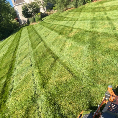 professional lawn mowing medina ohio